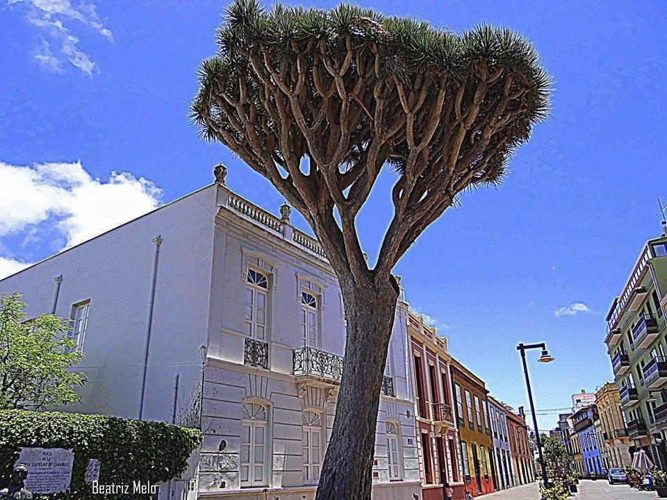 Apartamento Maya La Laguna  Eksteriør bilde